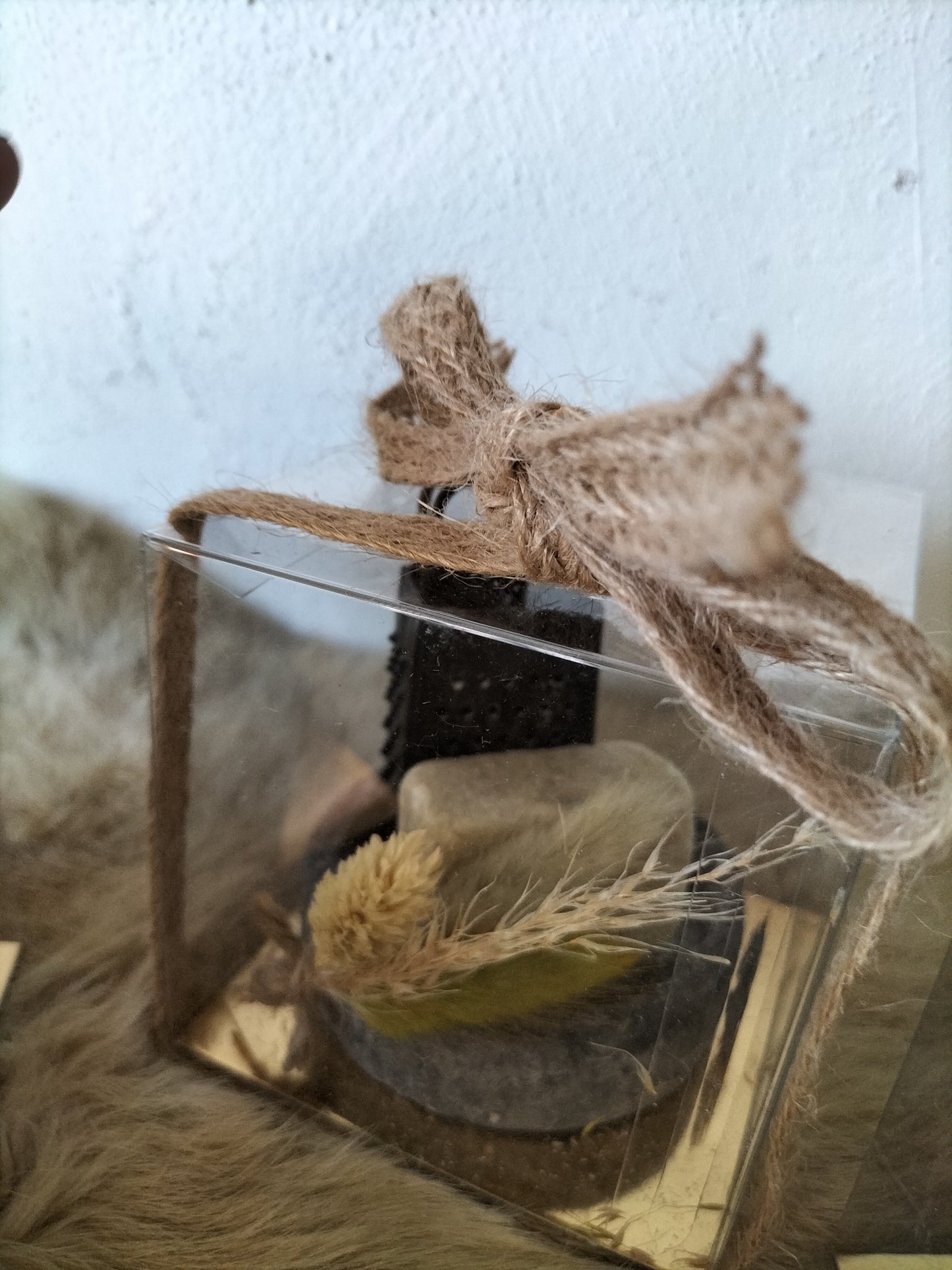 Aroma cubusje