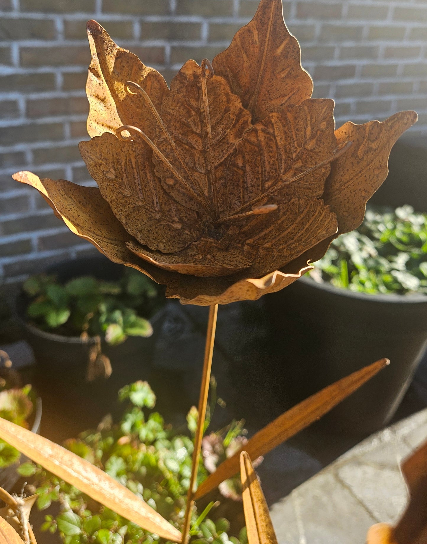 Roestige bloemen: stoer en sfeervol.