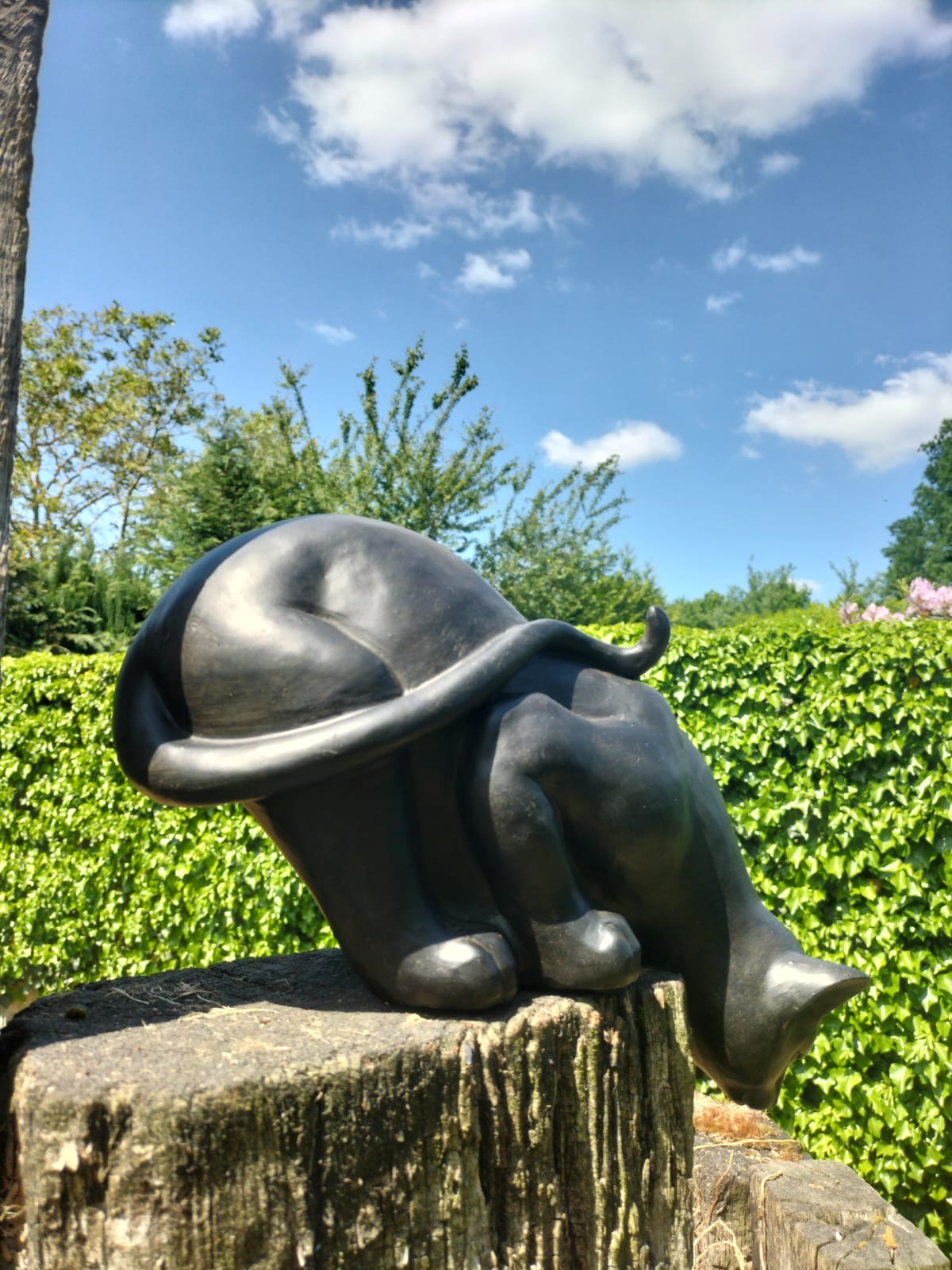 Kat voor op vensterbank, paal, hek, muurtje