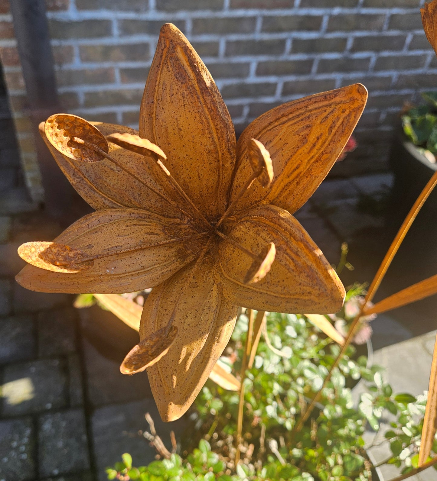 Roestige bloemen: stoer en sfeervol.