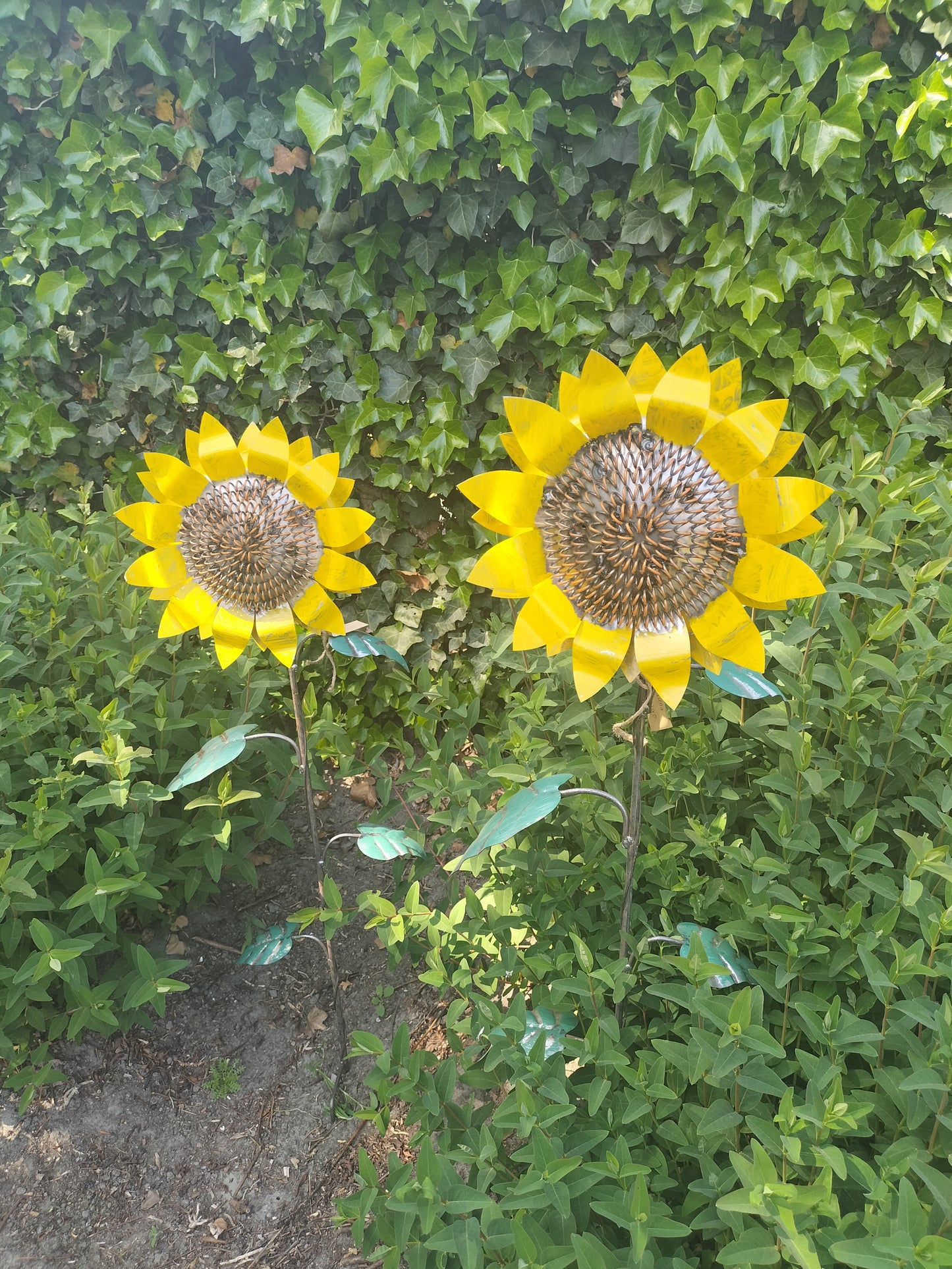 Grote zonnebloem tuinsteker