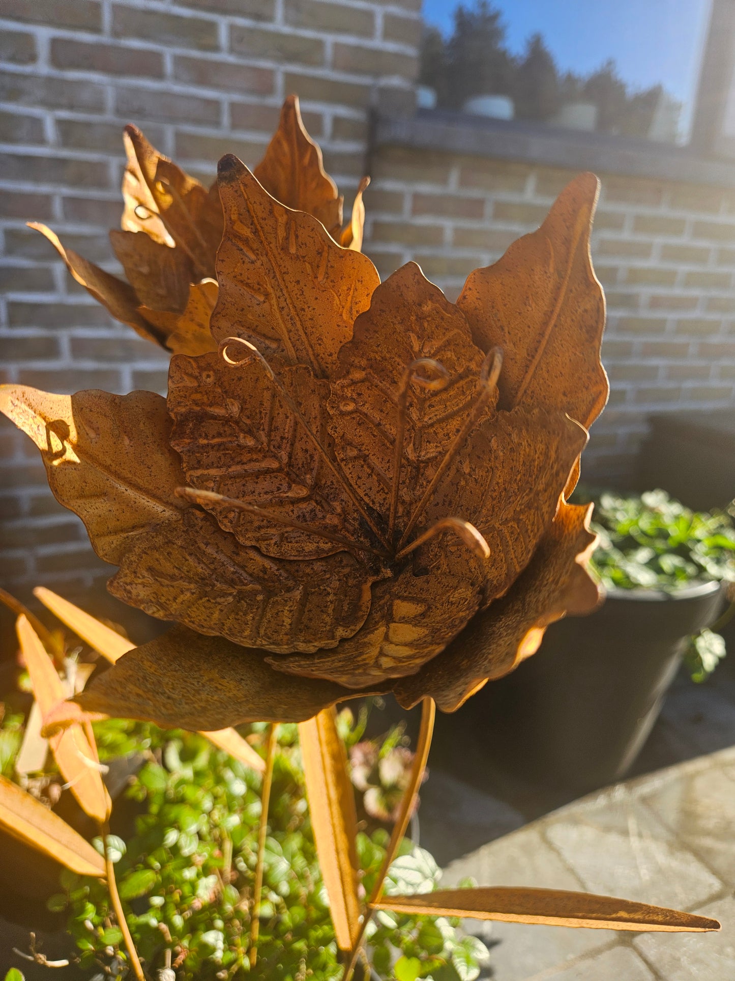 Roestige bloemen: stoer en sfeervol.