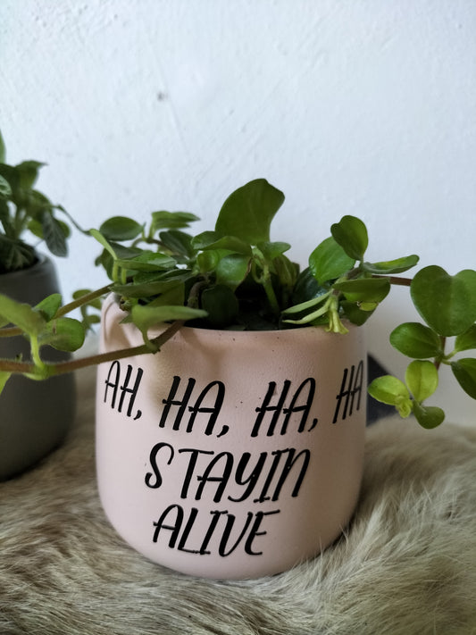 Bloempotje met tekst en plantje.