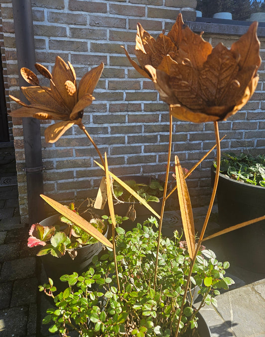 Roestige bloemen: stoer en sfeervol.