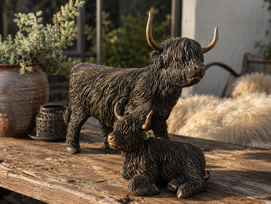 Stoere hooglanders